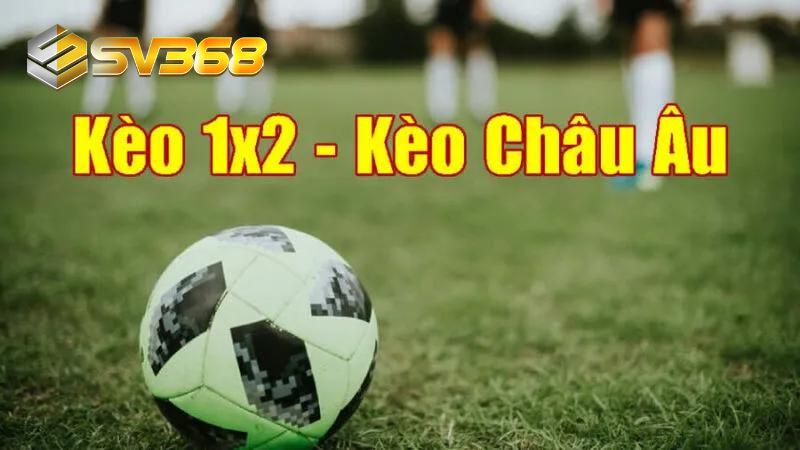 Khám phá thông tin về kèo châu Âu trên bảng tỷ lệ cược